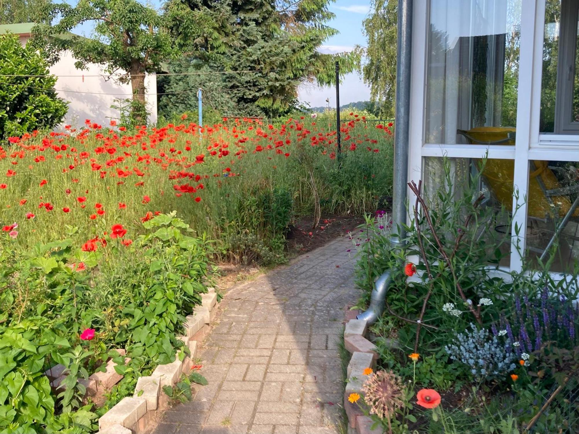 Ferienhaus am Wasser im Grünen Zecherin Exterior foto